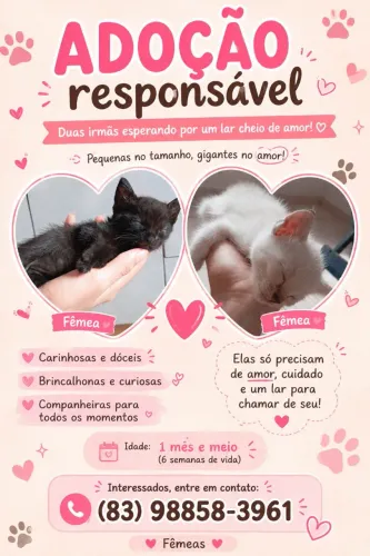 ADOÇÃO RESPONSÁVEL 