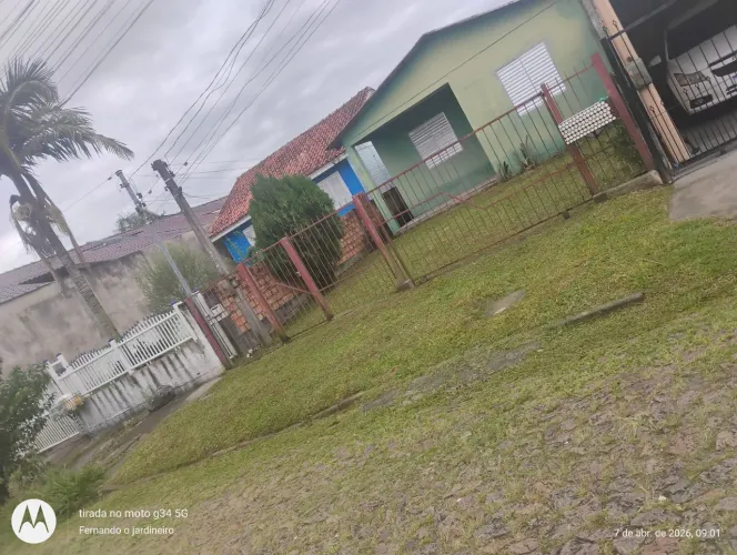 Corte de grama e plantio 