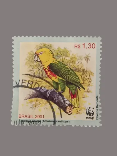 Selo Postal - Papagaio Galego - WWF