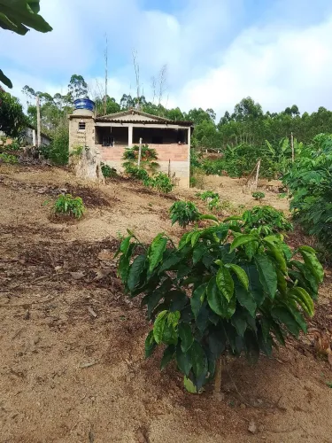 Chácara para Venda em Santa Terezinha domingos.