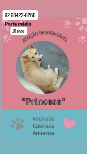 Adoção responsável 
