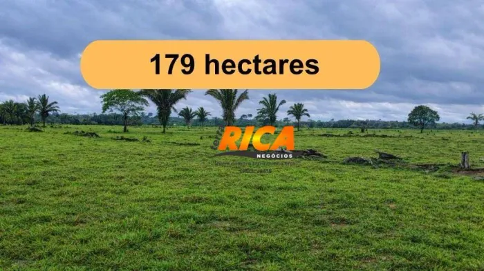 Vende-se Fazenda com 179 hectares na zona rural de Itapuã do Oeste/RO