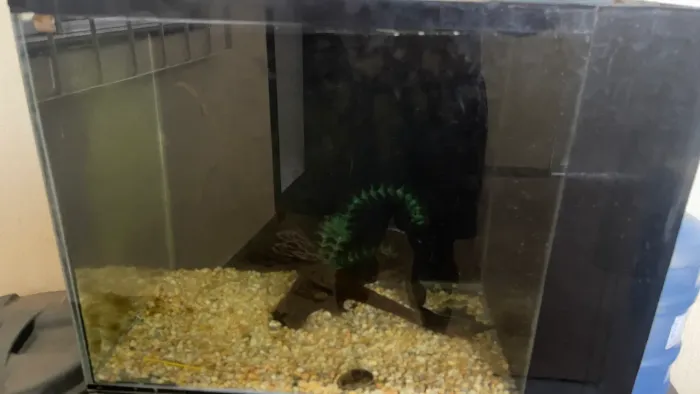 Aquario 160l Completo