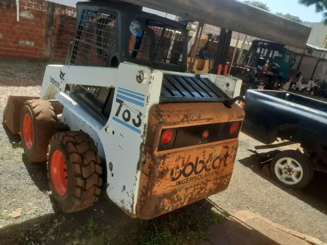 Bobcat