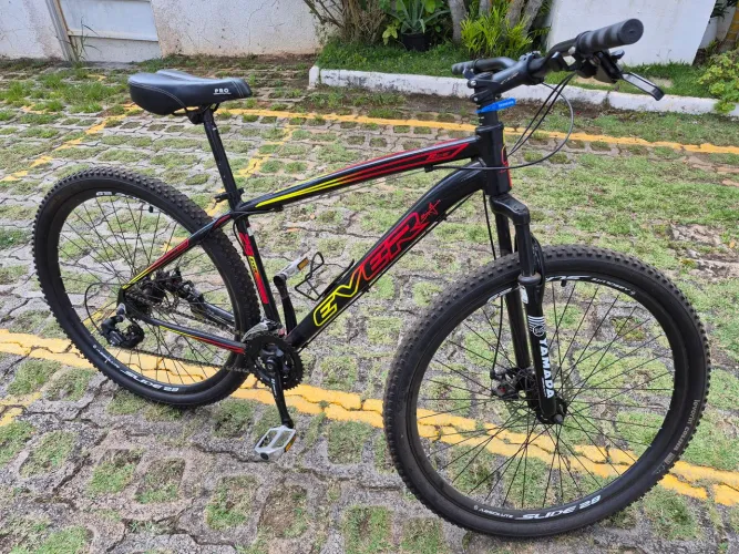 Bicicleta Ever Aro 29'