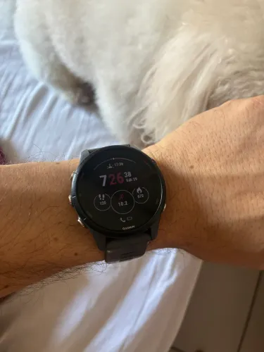 Garmin 255
