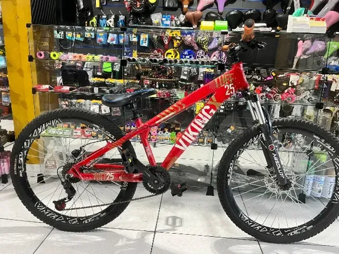 Freeride vikingx