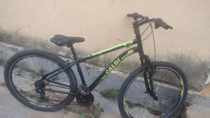Bicicleta 29