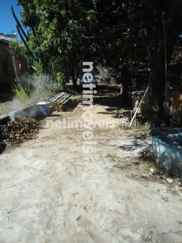 Venda Lote-Área-Terreno Letícia Belo Horizonte