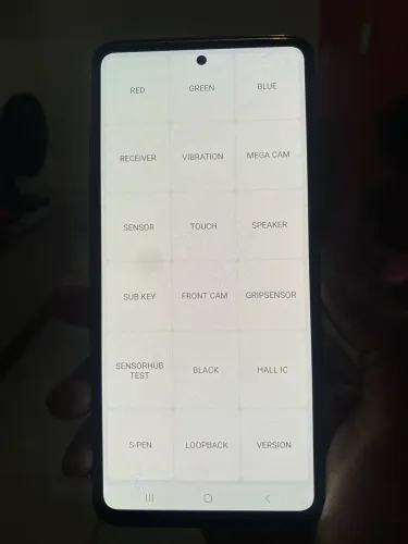Display Galaxy Note 10 Lite 