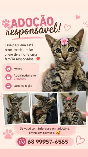 Adoção responsável 