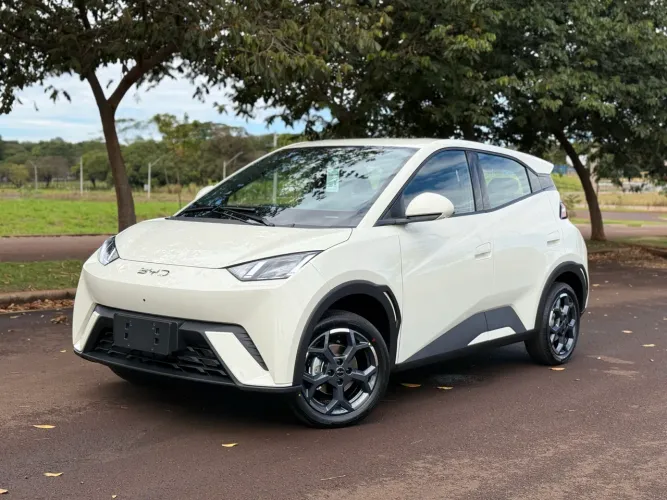 BYD Dolphin Mini (Elétrico) 2027