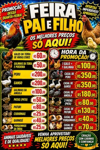 FEIRA PAI & FILHO
