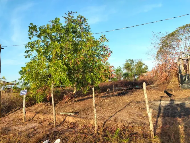 Vendo terreno 10x16