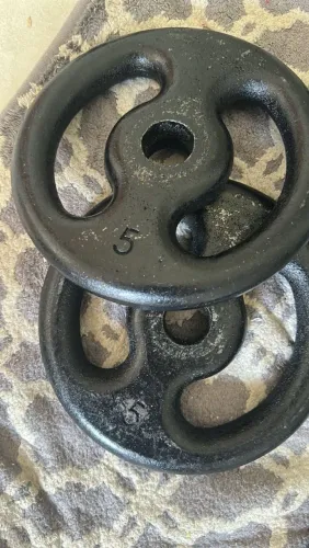 2 anilhas de 5kg cada