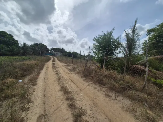 Terrenos em jaboatao velho