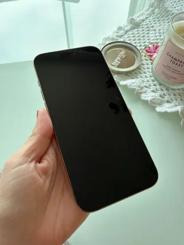 iPhone 16 PRO Max 256gb 90% saúde bateria