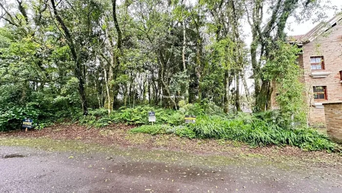 excelente terreno para construir no Ipê amarelo