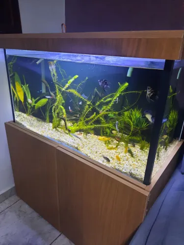 Aquario completo..186 litros 90x45x45 armario e canister.