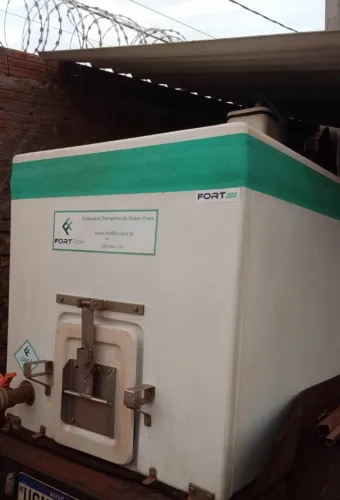 Caixa Transporte Peixe Vivo