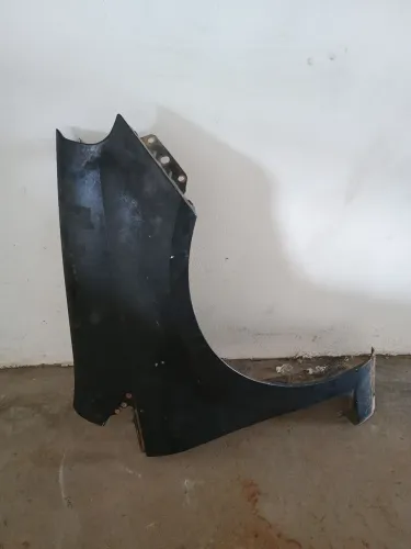 Paralama direito Fiat Punto