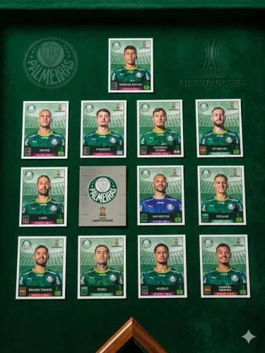Kit Palmeiras com 13 figurinhas 