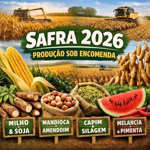 Safra 2026 Sob Encomenda - Milho, Soja, Mandioca e Mais | Direto do Produtor