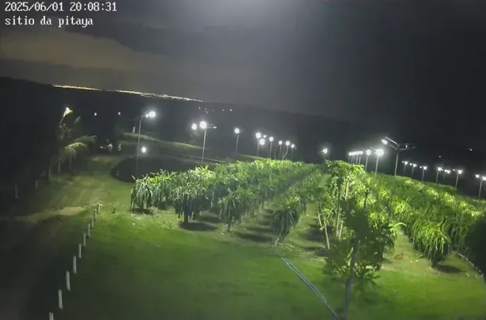 Chácara Produtiva 2hectares| Acesso ao Lago Corumbá