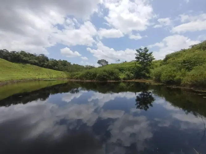 SÍTIO À VENDA POVOADO SACO, SÃO DOMINGOS/SE