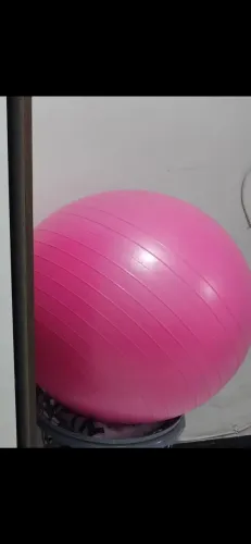 Bola Suíça (fisioterapia)