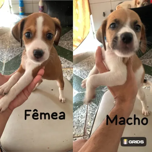 Doação 