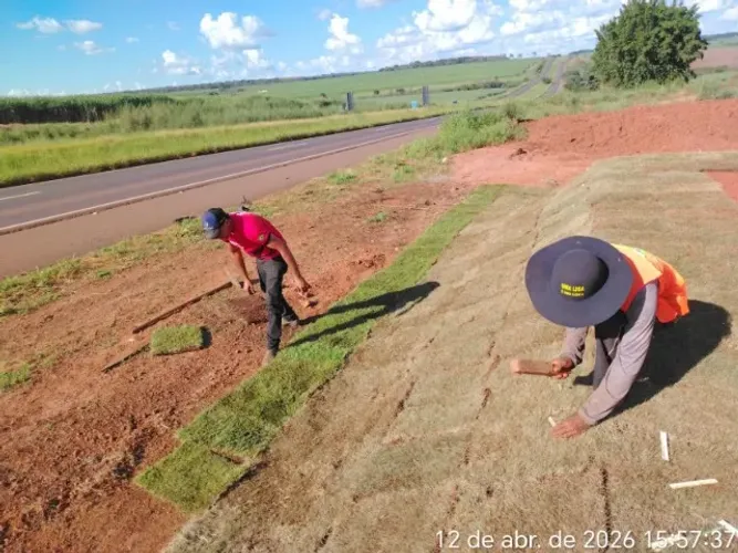 Grama Natural Melhor Oferta Faça Seu Orçamento 