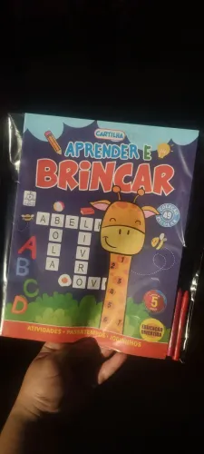 Cartilhas educativas desafios e atividades