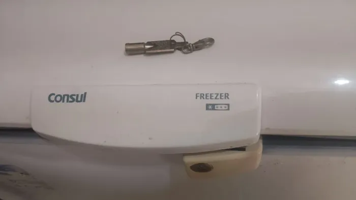 Freezer Consul digital