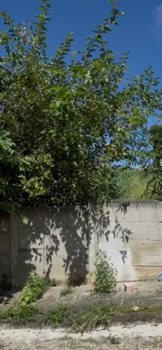 Lote 360 m Bairro São José em Pará de Minas