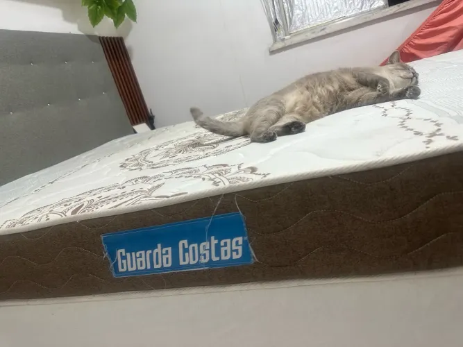 Vendo cama box com colchão d45
