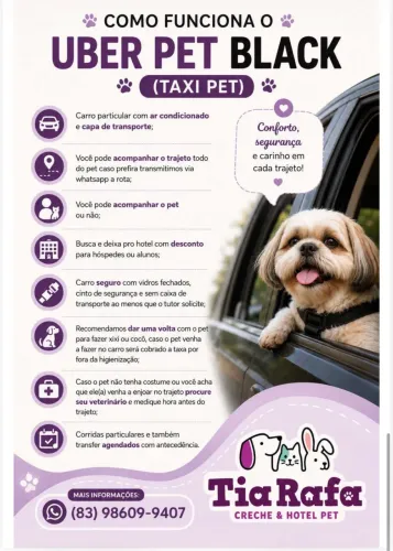 taxi pet / uber pet / taxi dog