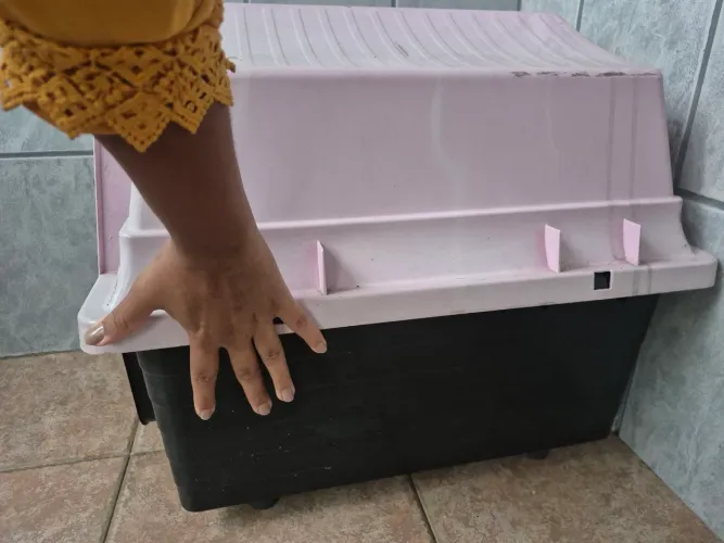 casinha de pet