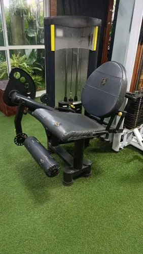 Cadeira extensora!