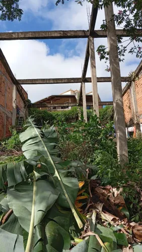 Limpeza de lote , quintal.
