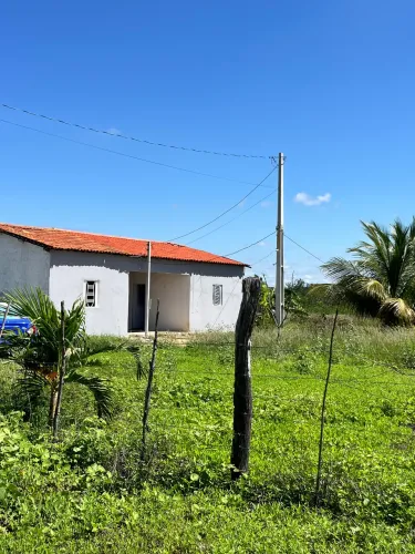 Chácara em Petrolina/PE - 100x200