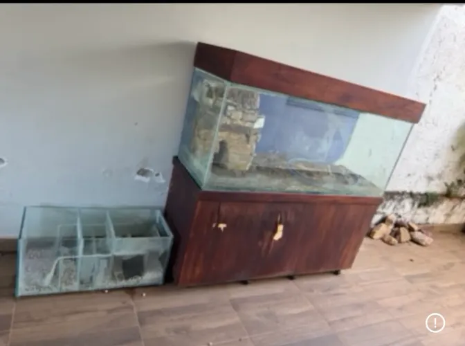 Aquário Sump completo 