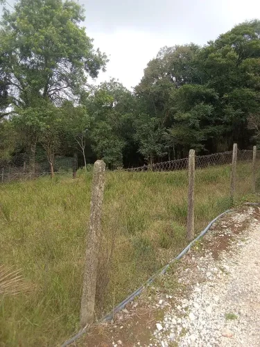 Chacrinha a venda em Almirante Tamandaré Marmeleiro 