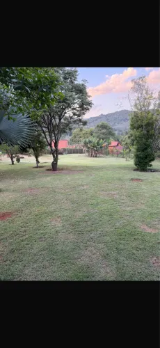Terreno em macacos