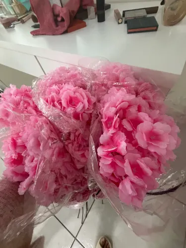 CEREJEIRA SAKURA PRA SALÃO STUDIO