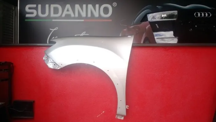 Para-lama Dianteiro Esquerdo Renault Sandero Stepway 2018