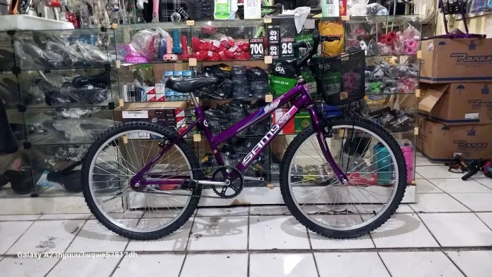 BICICLETA ARO 24 FEMININA SAMY NOVA EM 1OX SEM JUROS 