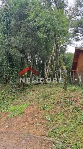 Lote em Beco da Avenca - Leodoro de Azevedo - Canela/RS