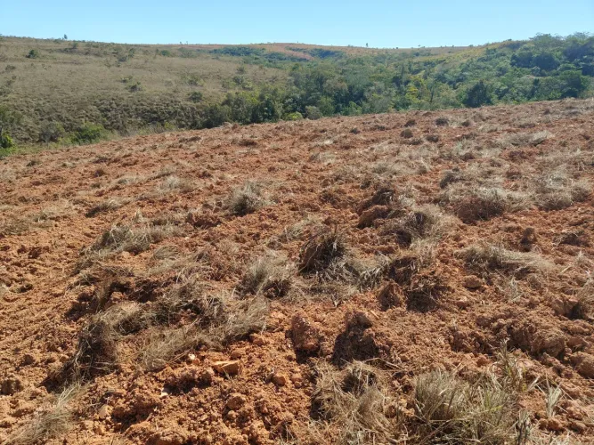 VENDA OU ARRENDAMENTO DE FAZENDA COM 55 HEC, EM LAGAMAR!