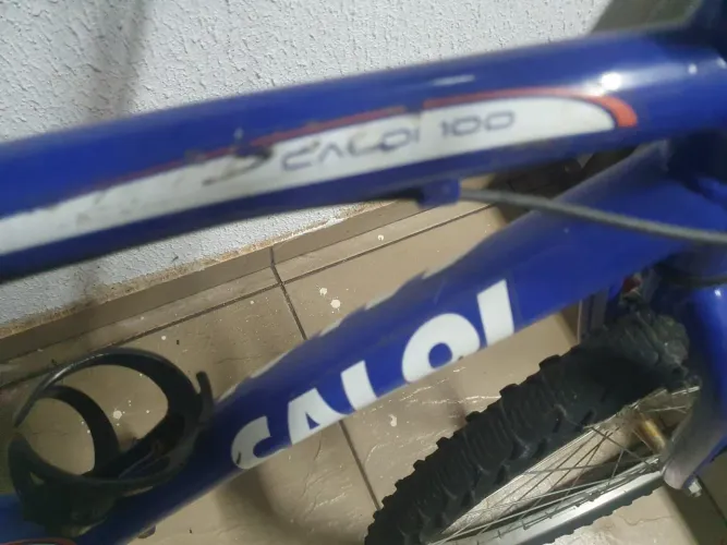 Caloi 100